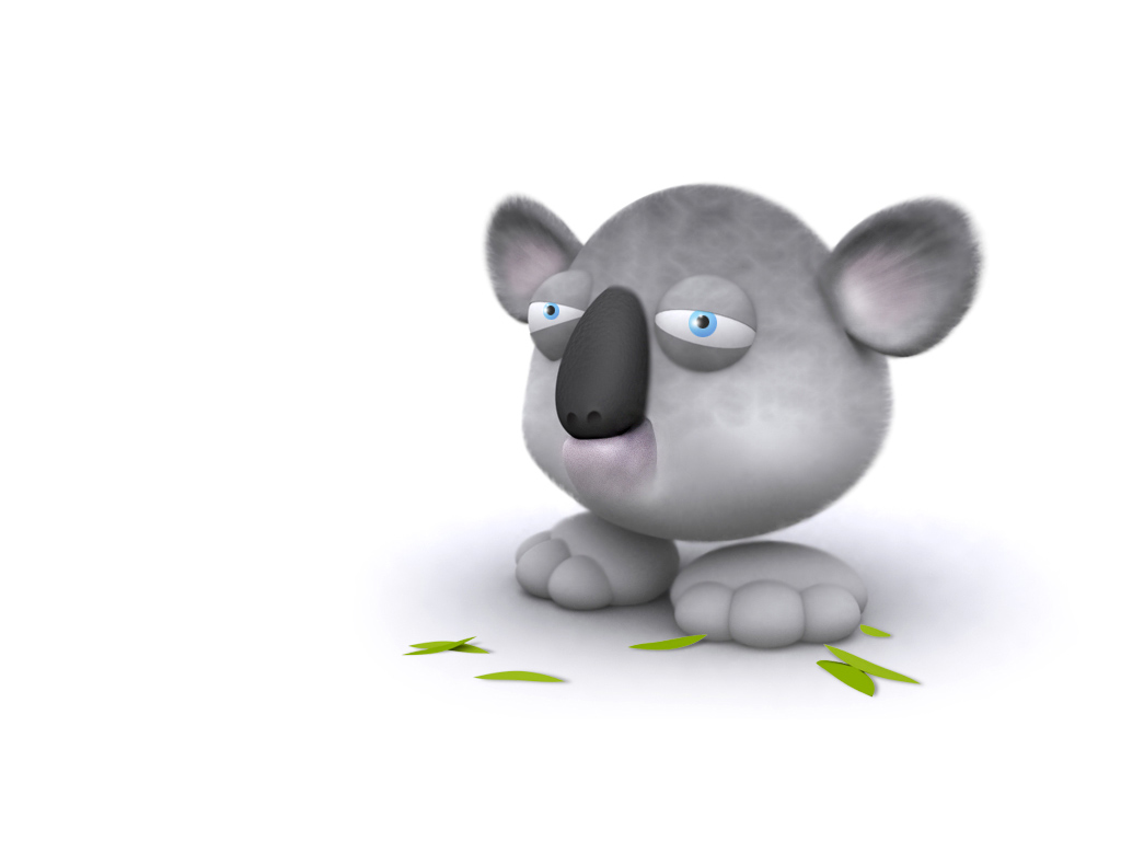 koala-tapeta.jpg